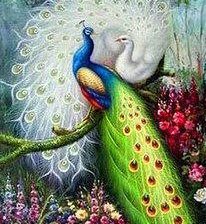 Схема вышивки «павлины»