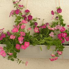 Схема вышивки «цветы на балконе»