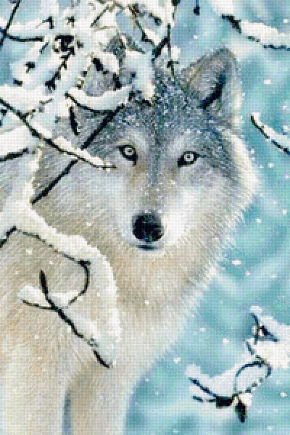 Белый волк - природа, зима, волки, белый волк, животные, зимний пейзаж, снег, волк - предпросмотр