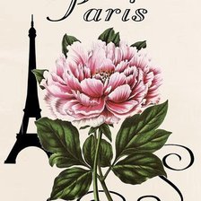 Схема вышивки «Пион»