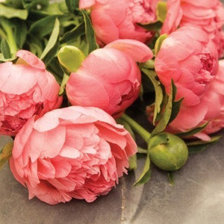 Схема вышивки «Пионы»