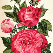 Схема вышивки «122»