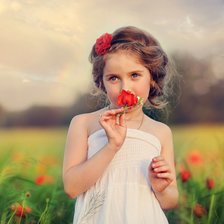 Схема вышивки «Девочка на маковом поле»