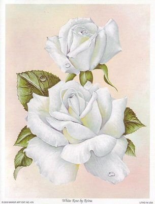 кремовые розы - оригинал