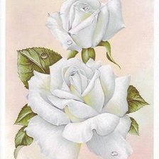 Схема вышивки «кремовые розы»