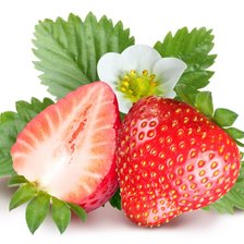 Схема вышивки «№1183351»