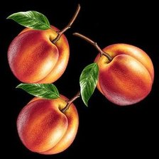 Схема вышивки «персики»