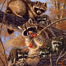 Схема вышивки «Енотики»