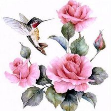 Схема вышивки «Колибри и розы»