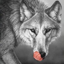 Схема вышивки «волк»