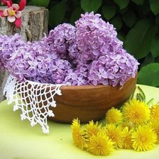 Схема вышивки «№1184939»