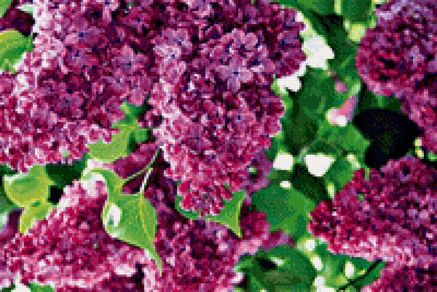 №1184952 - предпросмотр