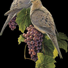 Схема вышивки «№1185023»