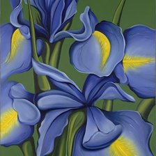 Схема вышивки «цветы»