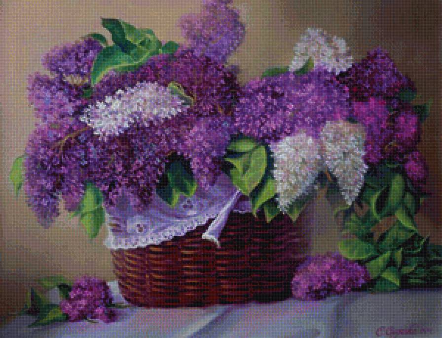 №1185481 - предпросмотр