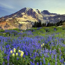 Схема вышивки «пейзаж»