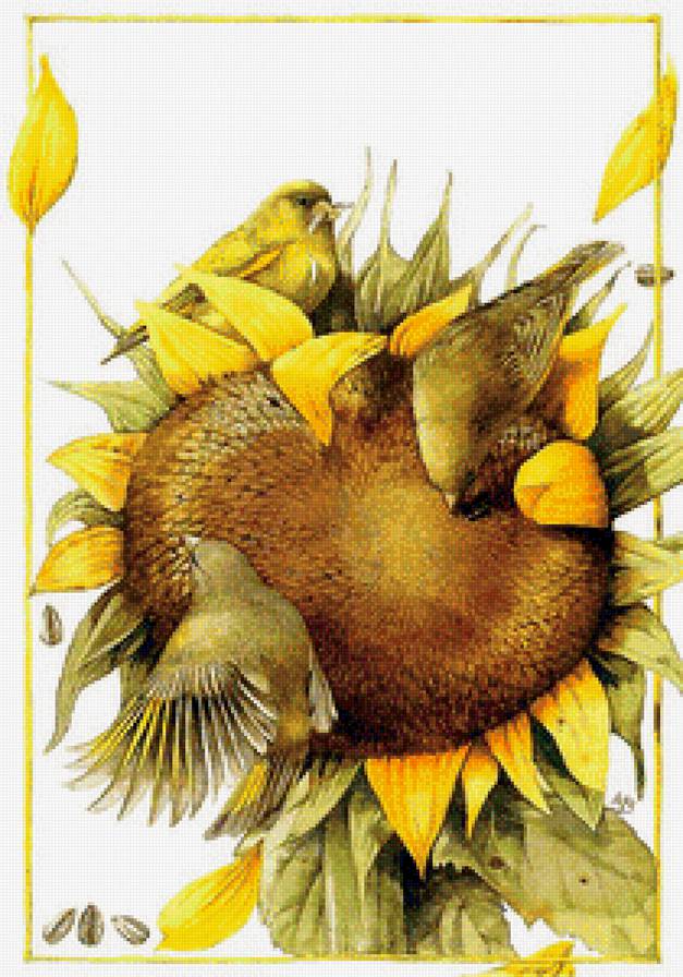 Серия птицы - вышивка крестом - предпросмотр