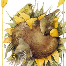 Схема вышивки «птицы и подсолнух»