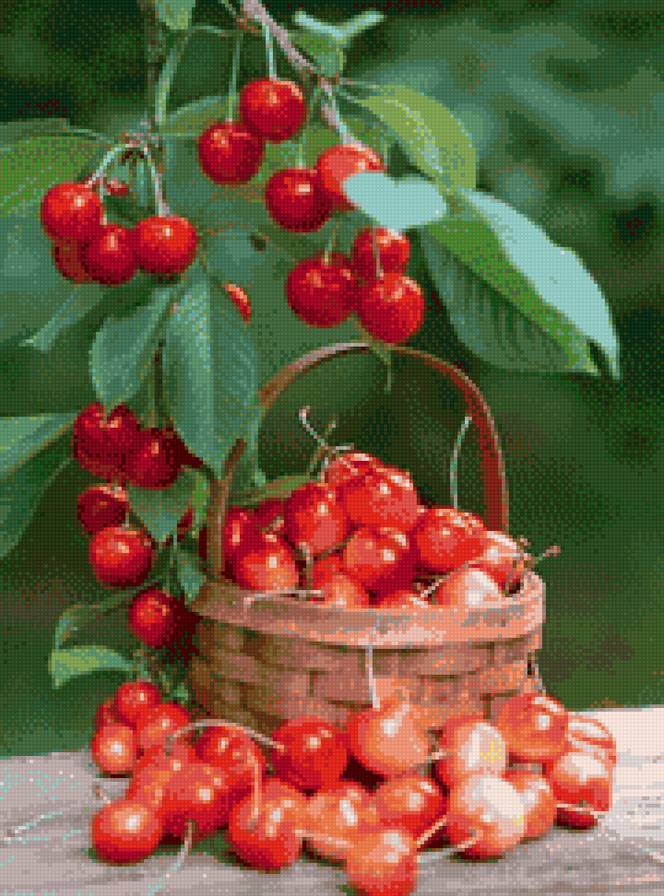 черешня - корзинка, фрукты - предпросмотр