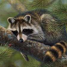 Схема вышивки «№1186888»