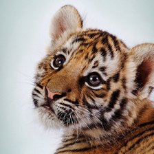 Схема вышивки «№1186914»