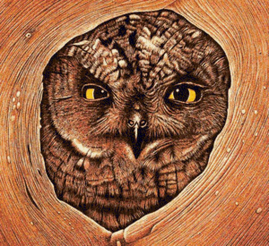 Совушка - сова, птицы, птица - предпросмотр