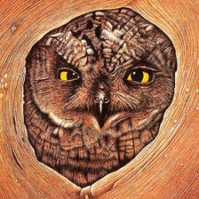 Схема вышивки «Совушка»