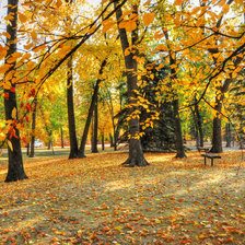 Схема вышивки «золотая осень»