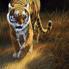 Схема вышивки «красавец»