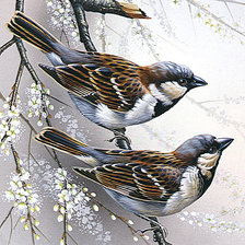 Схема вышивки «Воробьи»