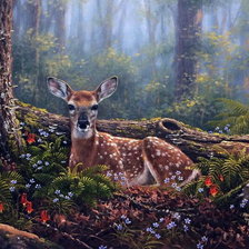 Схема вышивки «Животные»