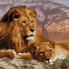 Схема вышивки «Львы»