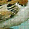 Предпросмотр схемы вышивки «Птички на ветке» (№1187993)