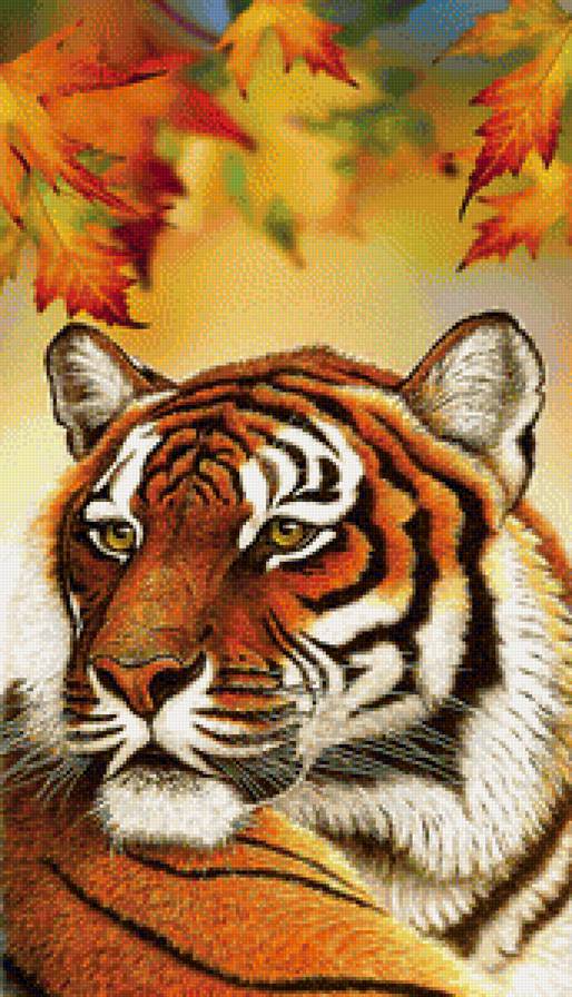Тигр - дикие кошки, животные - предпросмотр