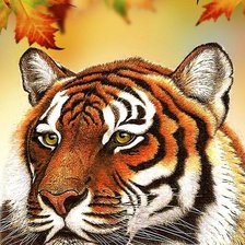 Схема вышивки «Тигр»