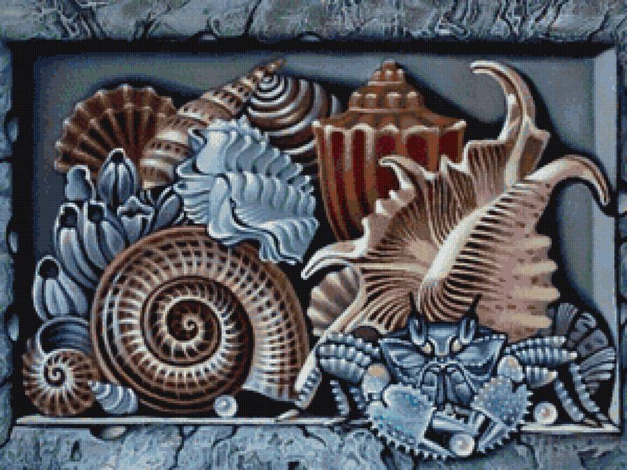 Ракушки - ракушки, море, натюрморт - предпросмотр