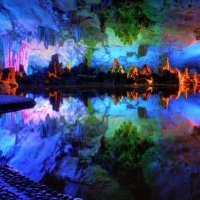 Схема вышивки «чудеса природы»