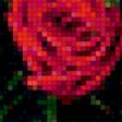 Предпросмотр схемы вышивки «розы» (№1188488)