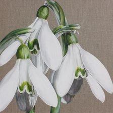 Схема вышивки «№1188868»