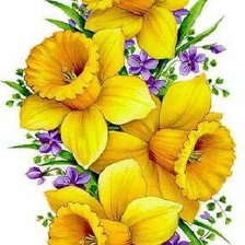 Схема вышивки «Нарциссы»