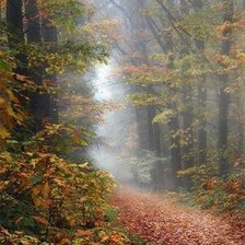 Схема вышивки «Осень»