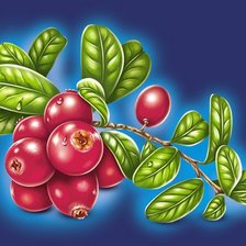 Схема вышивки «ягоды»