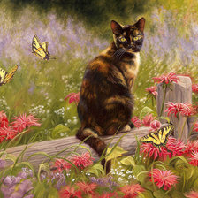 Схема вышивки «кошка на заборе»