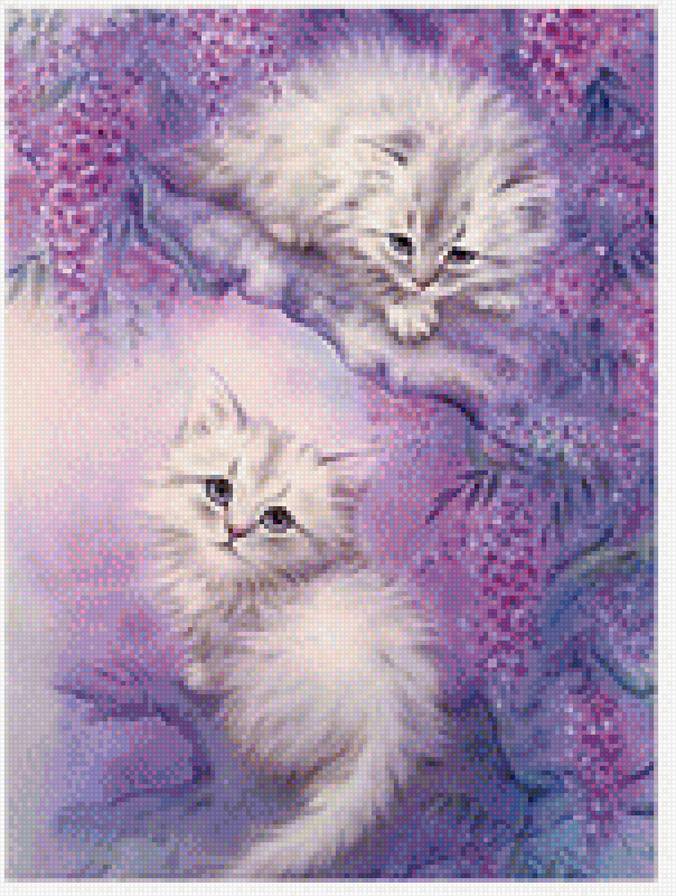 Котики - предпросмотр