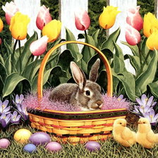 Схема вышивки «пасхальный кролик»