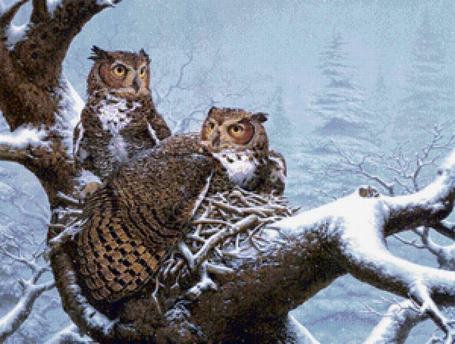 Филины - птицы, филин, пейзаж, природа, сова, снег, зима - предпросмотр