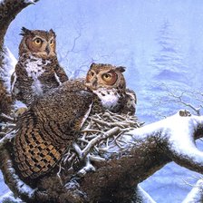 Схема вышивки «Филины»