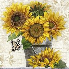 Схема вышивки «цветы и бабочки»