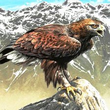 Схема вышивки «орел-беркут»