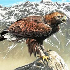 орел-беркут 2